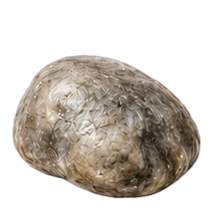 Ambergris