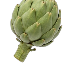 Artichoke