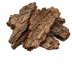 Bark