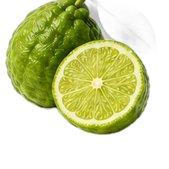 Bergamot