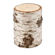 Birch