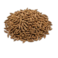 Caraway