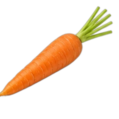 Carrot