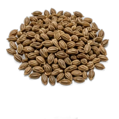 Celery seed