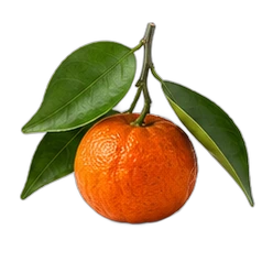 Chinotto