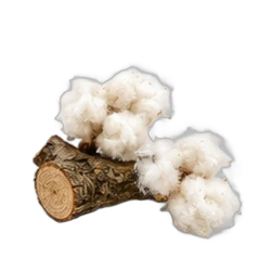 Cottonwood