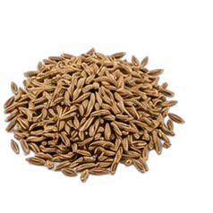 Cumin