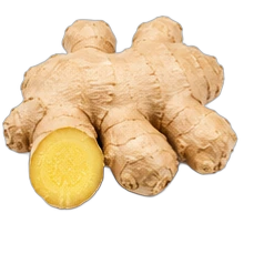 Ginger