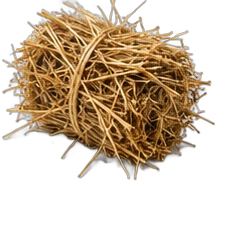 Hay