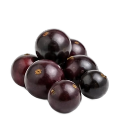 Jabuticaba