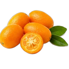 Kumquat