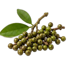 Litsea cubeba