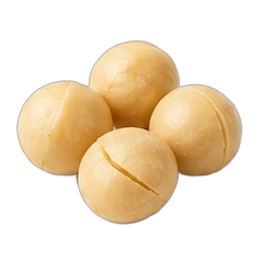 Macadamia