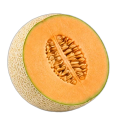 Melon