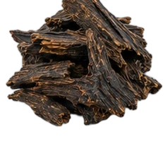 Oud
