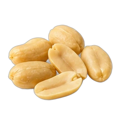 Peanut