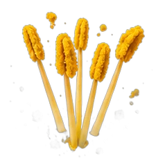 Pollen
