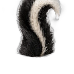 Skunk accord