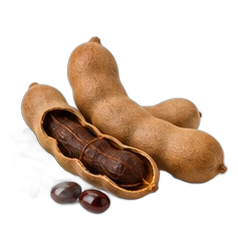 Tamarind
