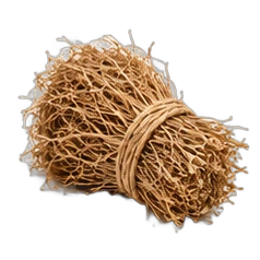 Vetiver