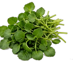 Watercress