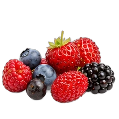 Wild berries