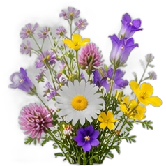 Wild flowers