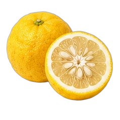 Yuzu